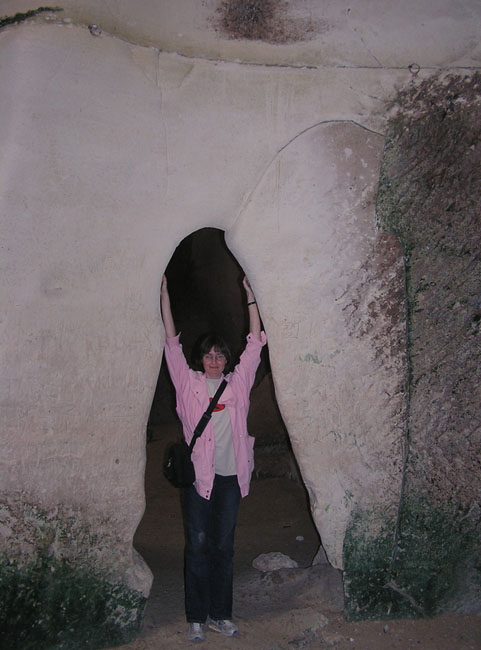 v_arke