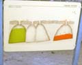 schema
