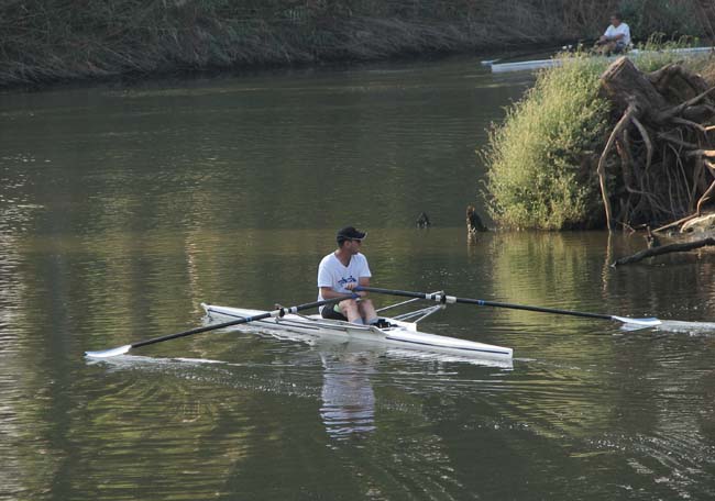 grebcy