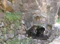 yoni_max_tunnel2