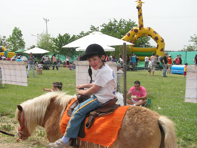 poni5