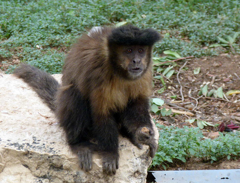 %_tempFileNameobez10%