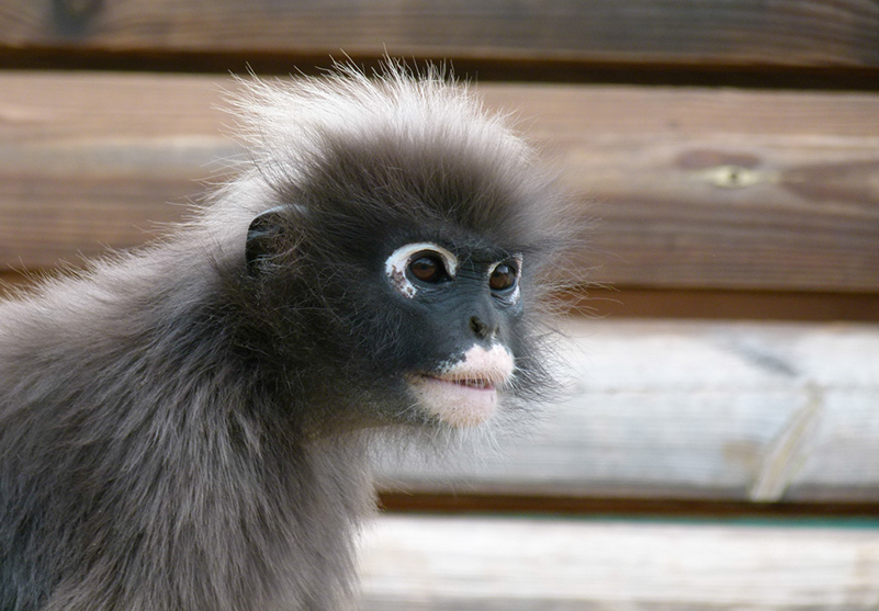 %_tempFileNameobez12%