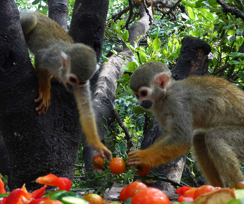 %_tempFileNameobezy%