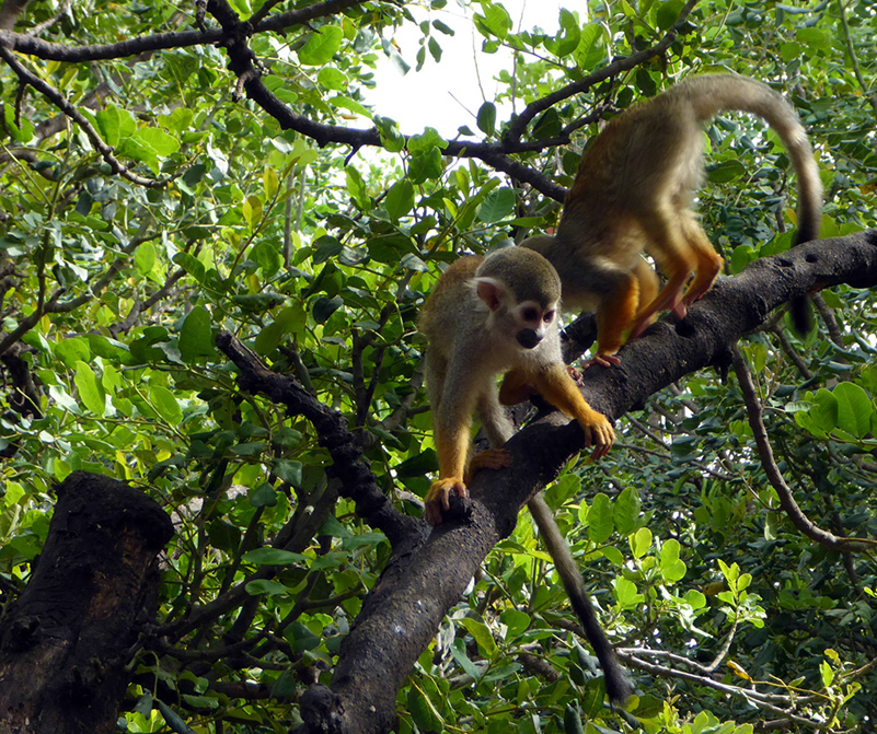 %_tempFileNameobezy2%