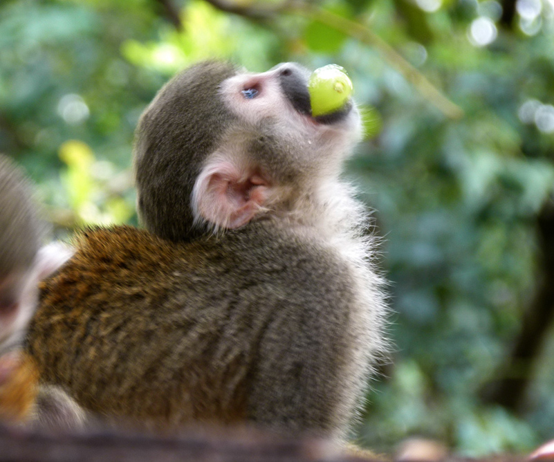 %_tempFileNameobezy6%