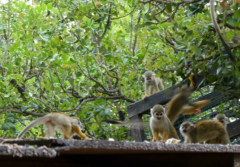 %_tempFileNameobezy8%