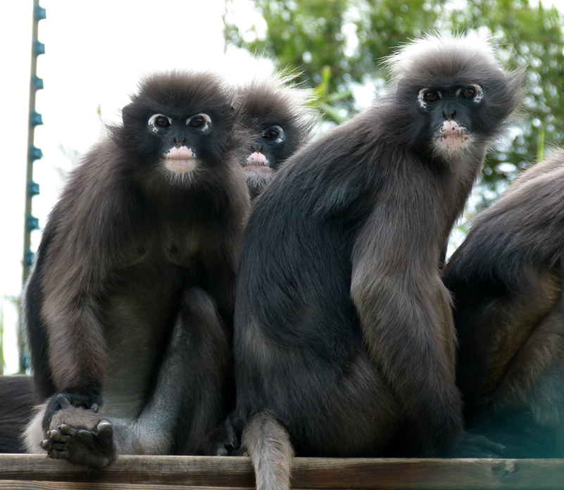 %_tempFileNameochkast%