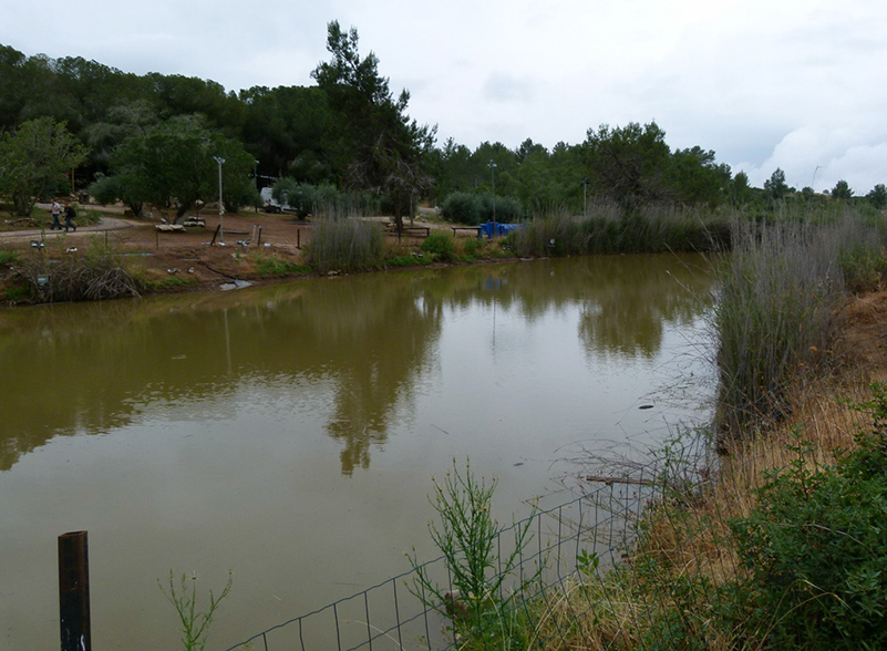 %_tempFileNameozero%