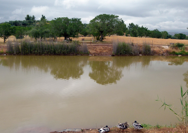 %_tempFileNameozero2%