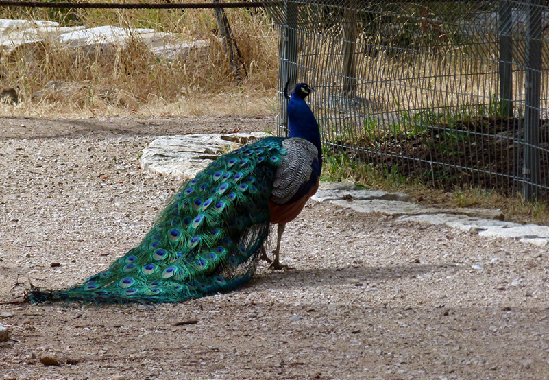 %_tempFileNamepawlin%