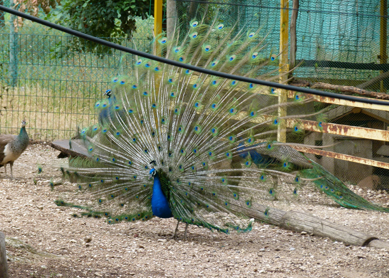 %_tempFileNamepawlin2%