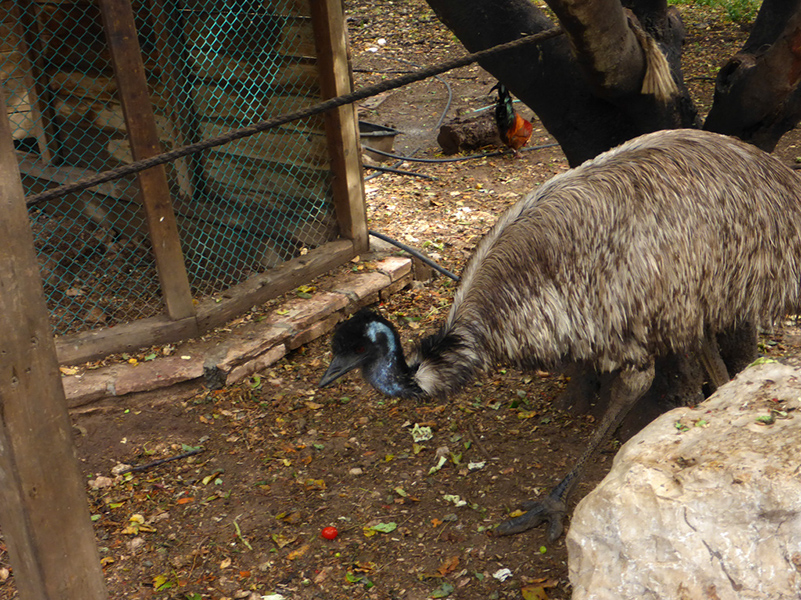 %_tempFileNamestrauss%