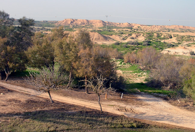 park
