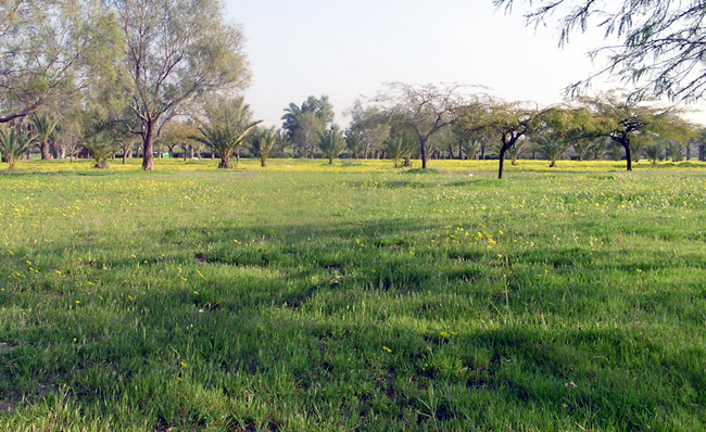 park2