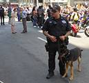 %_tempFileNamepoliceman_dog%