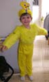 tweety_y