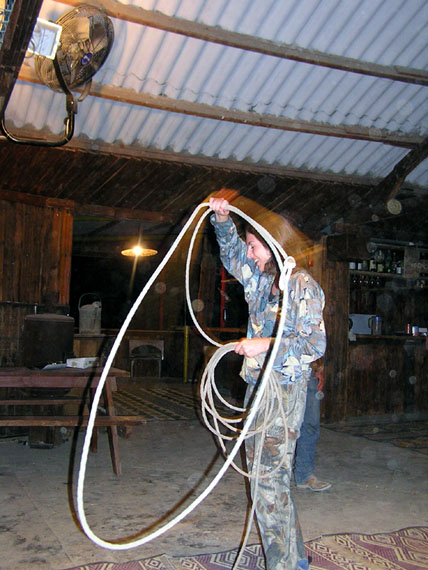 lasso