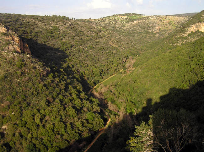 hila-monfort-view