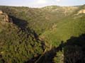 hila-monfort-view