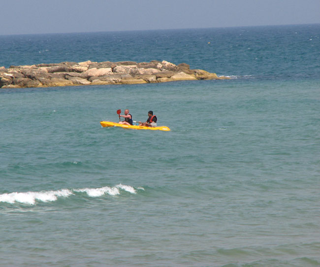 baydarki2