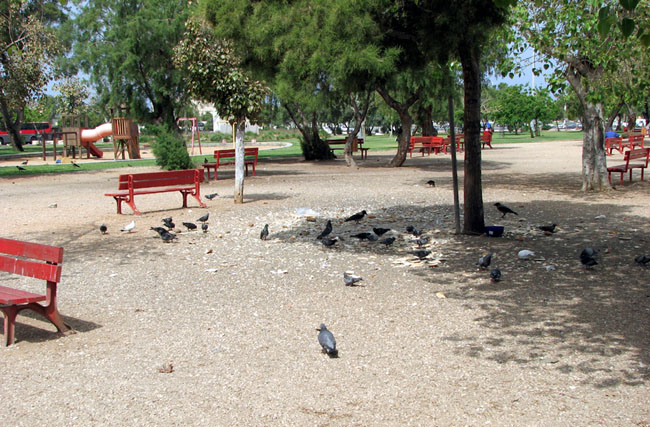 park