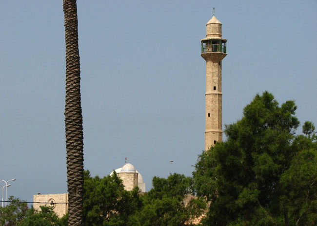 xasan_bek