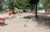 park