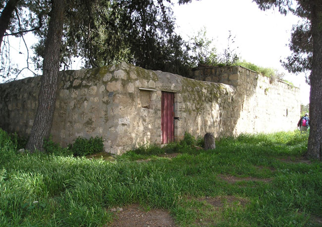 mogila_sheyxa2