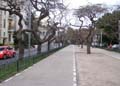 bulvar