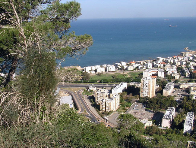 zaliv2