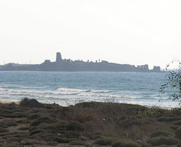 submaine