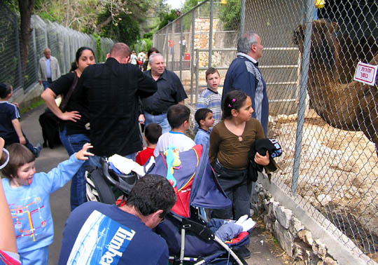 igor_yoni_verblud
