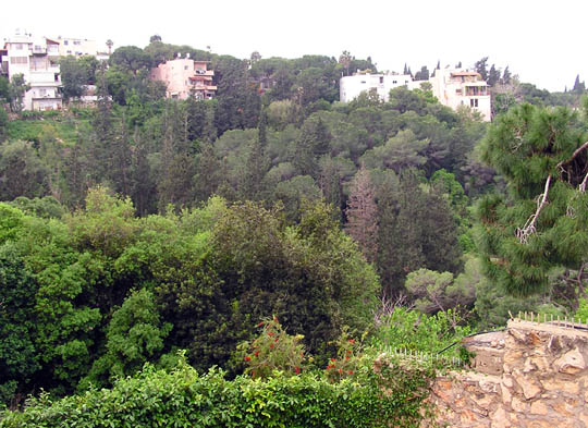 view