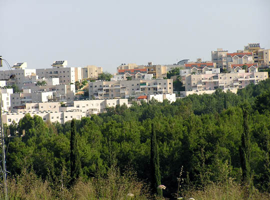 elad